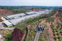 新但愿发布2025年年报：饲料营业强劲增加